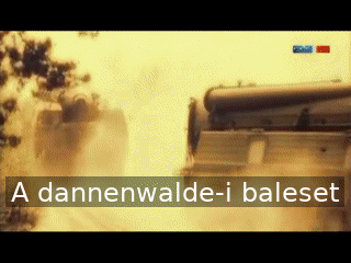 A dannenwalde-i baleset A dannenwalde-i baleset