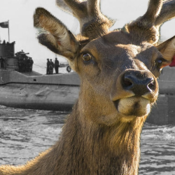 A rénszarvas és a tengeralattjáró