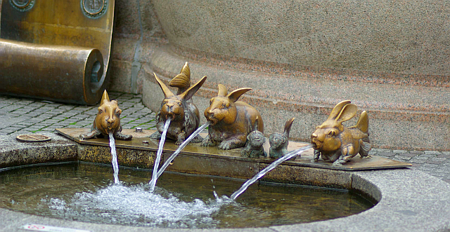 vízinyulak Konstanzban, kép forrása: huebner-tim.de
