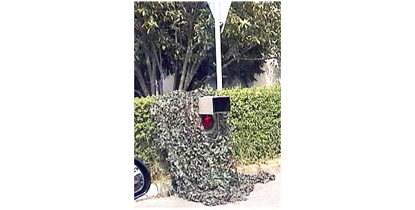 Az álcázóhálós fényképezés 2