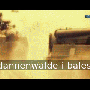 dannenwald.gif